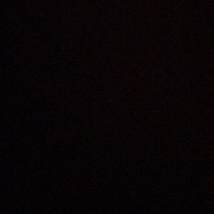 Meet your Posher, Evelyn